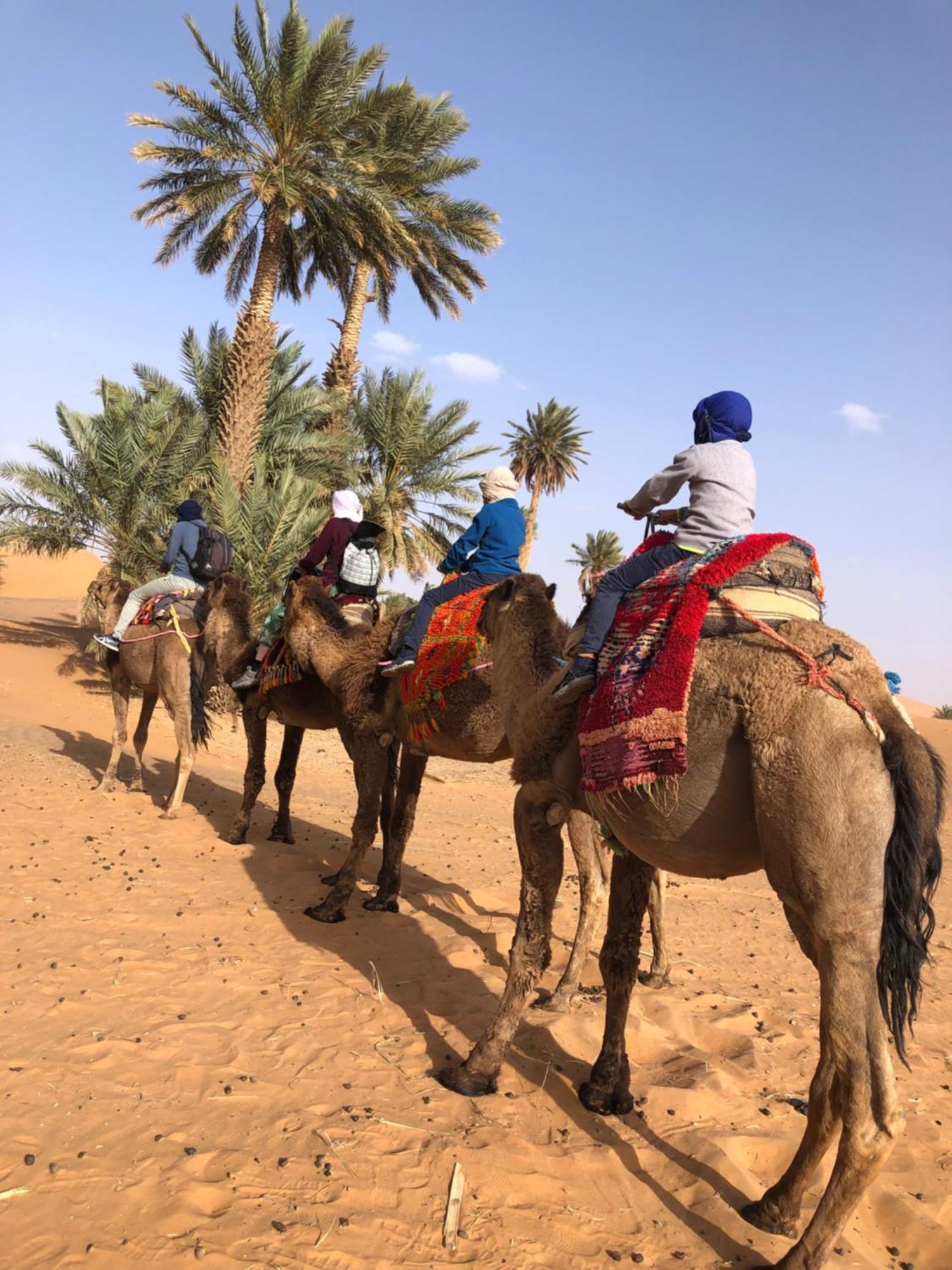 Bivouac Le Petit Prince Merzouga Exterior photo